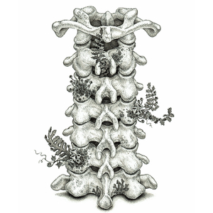 欧美素颜熟女毛片免费看
