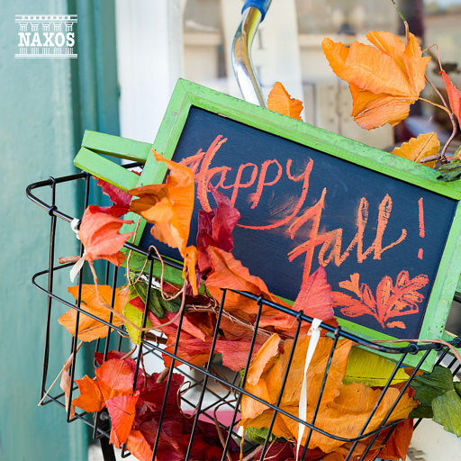 欧美素颜熟女毛片免费看
